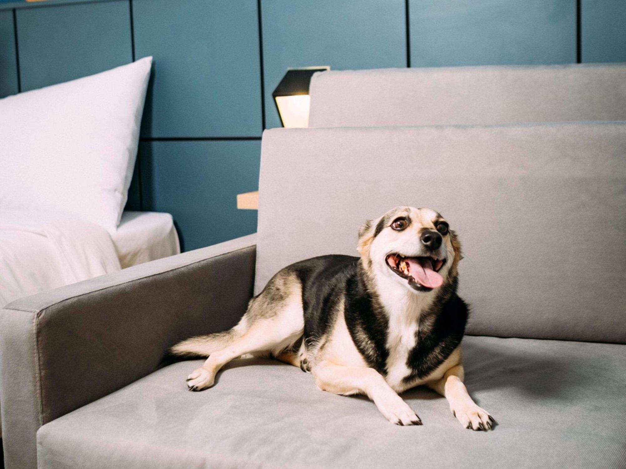 Ibis Styles Hotel